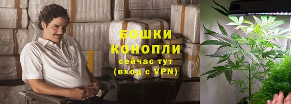 СК Балахна